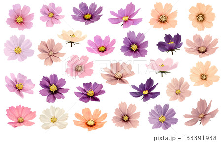 水彩で描いた多彩な色のコスモスの花部分のイラスト素材セット 133391938