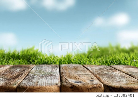Summer Sky Blue,Cloud over Green bushes leaves on brown wood fence background. Euonymus fortunei Emerald,Gold Spindle Evergreen Shrub Hedge on old wooden in sunny day Spring,Fresness Nature background 133392401
