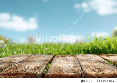 Summer Sky Blue,Cloud over Green bushes leaves on brown wood fence background. Euonymus fortunei Emerald,Gold Spindle Evergreen Shrub Hedge on old wooden in sunny day Spring,Fresness Nature background 133392403