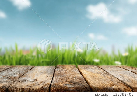 Summer Sky Blue,Cloud over Green bushes leaves on brown wood fence background. Euonymus fortunei Emerald,Gold Spindle Evergreen Shrub Hedge on old wooden in sunny day Spring,Fresness Nature background Summer Sky Blue,Cloud over Green bushes leaves on brown wood fence background. Euonymus fortunei Emerald,Gold Spindle Evergreen Shrub Hedge on old wooden in sunny day Spring,Fresness Nature background 133392406