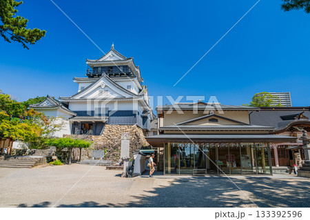 岡崎市の岡崎城の風景(愛知県) 133392596