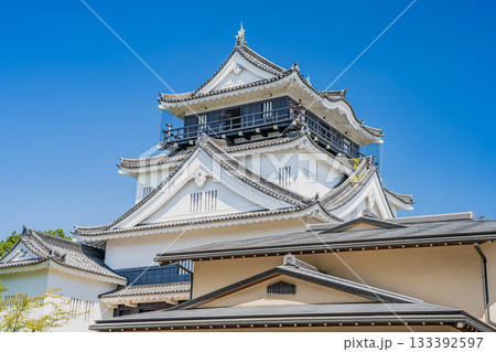 岡崎市の岡崎城の風景(愛知県) 133392597