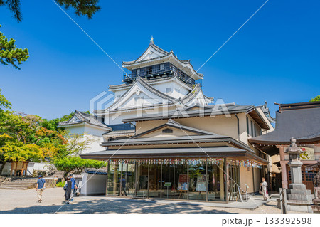 岡崎市の岡崎城の風景(愛知県) 岡崎市の岡崎城の風景(愛知県) 133392598