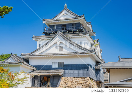 岡崎市の岡崎城の風景(愛知県) 岡崎市の岡崎城の風景(愛知県) 133392599