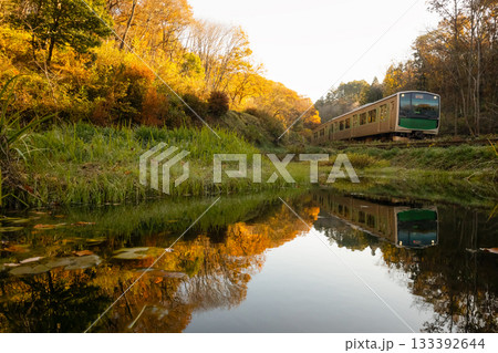 燃ゆる紅葉と列車を水鏡に映して 133392644