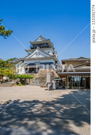 岡崎市の岡崎城の風景(愛知県) 133392774