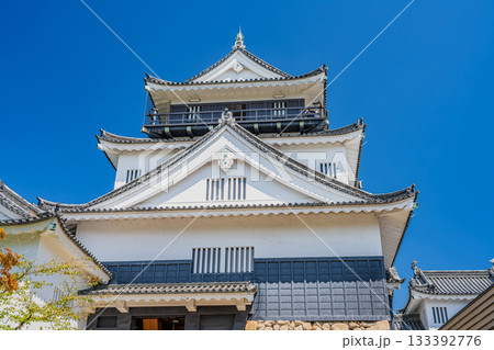 岡崎市の岡崎城の風景(愛知県) 133392776