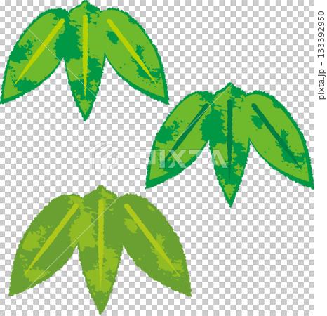 Japanese-style illustration of bamboo leaves, pine, bamboo, and plum New Year's design material Japanese-style illustration of bamboo leaves, pine, bamboo, and plum New Year's design material 133392950