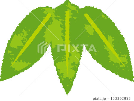 竹の葉の和風イラスト、松竹梅のお正月デザイン素材 133392953