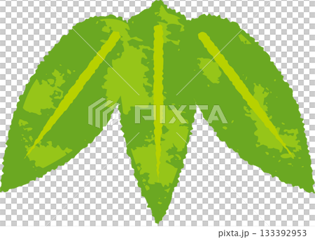 Japanese-style illustration of bamboo leaves, pine, bamboo, and plum New Year's design material Japanese-style illustration of bamboo leaves, pine, bamboo, and plum New Year's design material 133392953