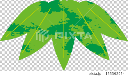 Japanese-style illustration of bamboo leaves, pine, bamboo, and plum New Year's design material Japanese-style illustration of bamboo leaves, pine, bamboo, and plum New Year's design material 133392954