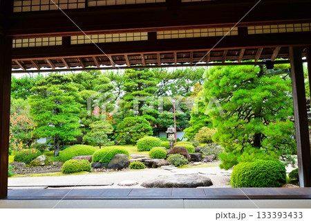 出雲文化伝承館の書院から眺める出雲流庭園 出雲文化伝承館の書院から眺める出雲流庭園 133393433