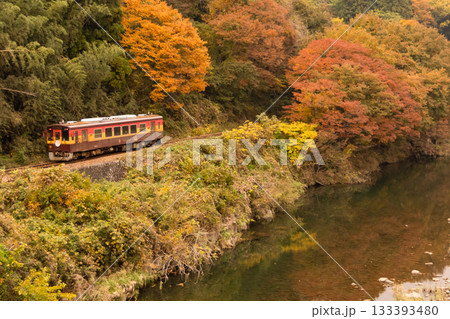 沿線の紅葉と列車の色が同じだ！ 133393480