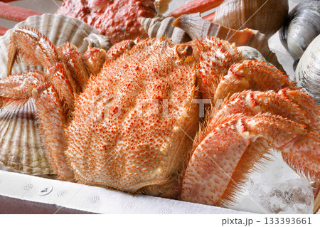 魚介詰め合わせ 133393661