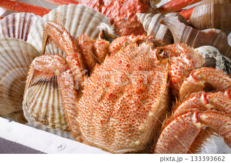 魚介詰め合わせ 133393662