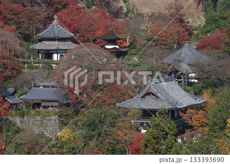 Autumn Kyoto / 晩秋の京都旅行～高台から眺める紅葉の進む古刹寺院の早朝のお散歩風景 133393690
