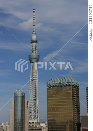 青空にそびえる東京スカイツリー 133393734