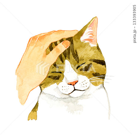 幸せそうな顔で頭を撫でられているキジ白猫　手描き水彩イラスト素材 133393905