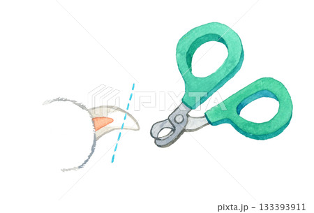 猫の爪切り　手描き水彩イラスト素材 133393911