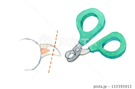 猫の爪切り　手描き水彩イラスト素材 133393913