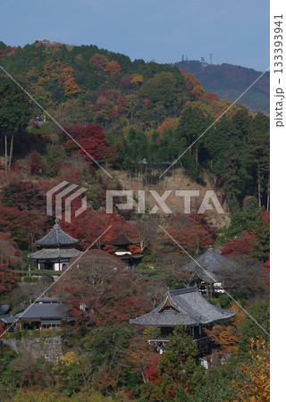 Autumn Kyoto / 晩秋の京都旅行~高台から眺める紅葉の進む古刹寺院の早朝のお散歩風景 Autumn Kyoto / 晩秋の京都旅行~高台から眺める紅葉の進む古刹寺院の早朝のお散歩風景 133393941