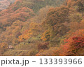 紅葉した山で列車がかくれんぼ 133393966