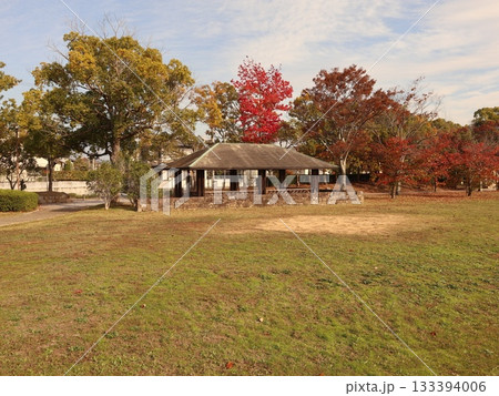 西神中央公園 神戸市 西区 公園 少し紅葉 西神中央公園 神戸市 西区 公園 少し紅葉 133394006