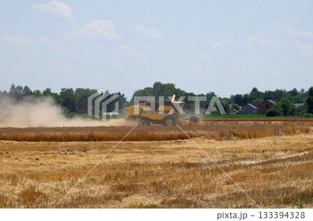 Combine harvester harvest ripe wheat on a farm in Nedelisce, Croatia Combine harvester harvest ripe wheat on a farm in Nedelisce, Croatia 133394328