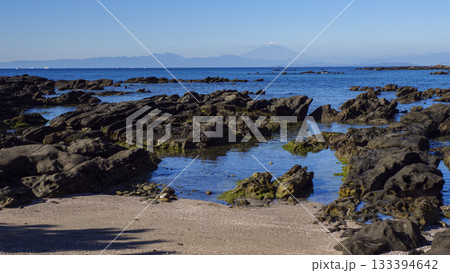 佐島天神島の秋 133394642