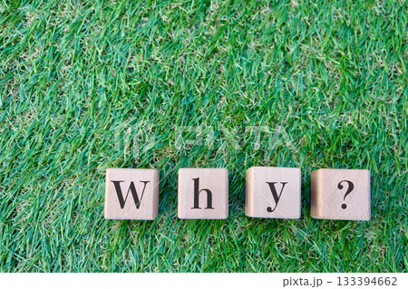 芝生の上のWhyブロックとコピースペース。問題提起イメージ。 芝生の上のWhyブロックとコピースペース。問題提起イメージ。 133394662