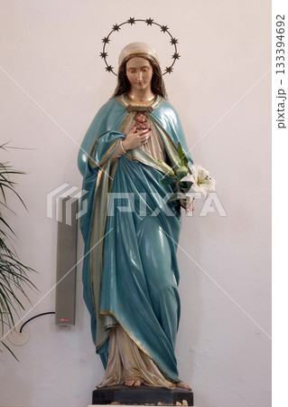 Immaculate Heart of Mary statue in the Church of Assumption of the Virgin Mary in Pokupsko, Croatia Immaculate Heart of Mary statue in the Church of Assumption of the Virgin Mary in Pokupsko, Croatia 133394692