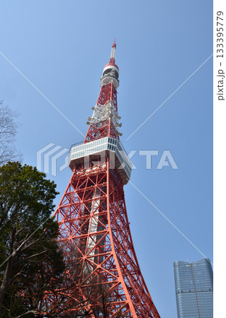 東京のシンボル　東京タワー 133395779