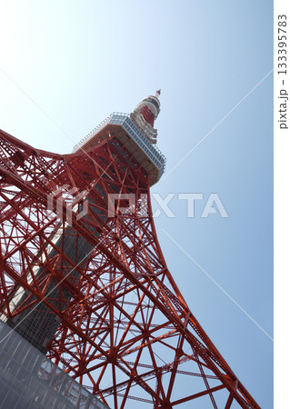東京のシンボル　東京タワーを仰ぐ 133395783