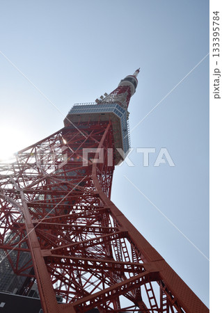 東京のシンボル　東京タワーを仰ぐ 133395784