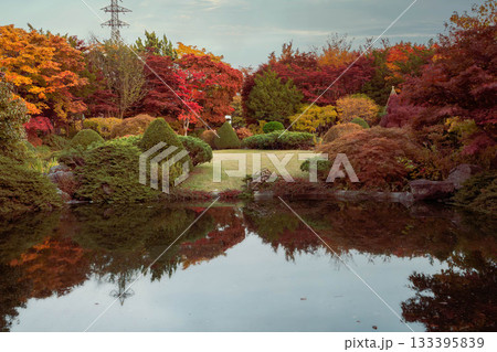 水面に映る紅葉 水面に映る紅葉 133395839