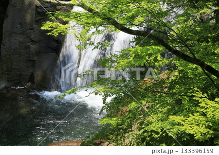 えにわ盤尻　白扇の滝 133396159