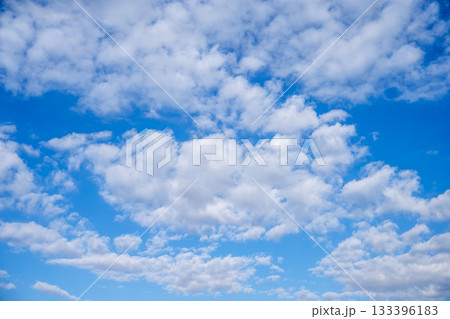 秋の空 青空 晴れ 空だけ 秋 11月 イメージ 【神奈川県】 133396183