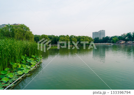 Beijing, China - 3 june 2025 Chao Yang Gong Yuan in summer Beijing, China - 3 june 2025 Chao Yang Gong Yuan in summer 133396794