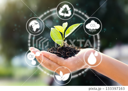 Hand planting seedling green bokeh blur nature background isolated Hand planting seedling green bokeh blur nature background isolated 133397163