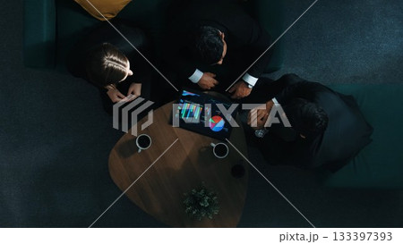 Top view of business people making agreement and shaking hands. Directorate. Top view of business people making agreement and shaking hands. Directorate. 133397393