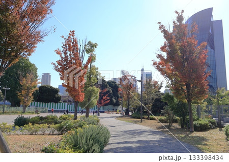 明治公園 明治公園 133398434