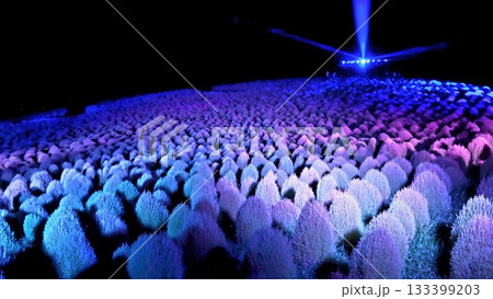 紫にライトアップされたファンタジーな風景 紫にライトアップされたファンタジーな風景 133399203