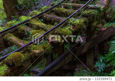 台湾 宜蘭 観光 133399471