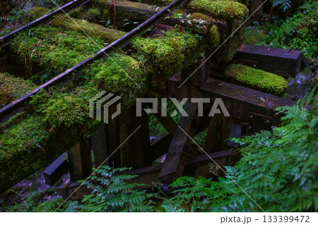 台湾 宜蘭 観光 133399472