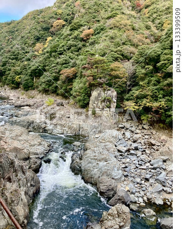 秋の紅葉に染まる渓谷と武庫川 133399509