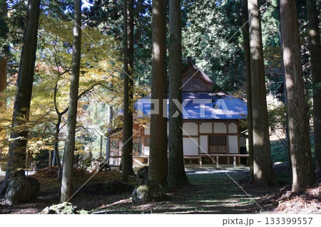 岡山県勝田郡奈義町にある浄土宗の寺「菩提寺」(全国銘木百選にも選ばれた大イチョウで有名) 岡山県勝田郡奈義町にある浄土宗の寺「菩提寺」(全国銘木百選にも選ばれた大イチョウで有名) 133399557