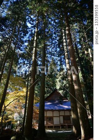 岡山県勝田郡奈義町にある浄土宗の寺「菩提寺」(全国銘木百選にも選ばれた大イチョウで有名) 岡山県勝田郡奈義町にある浄土宗の寺「菩提寺」(全国銘木百選にも選ばれた大イチョウで有名) 133399558