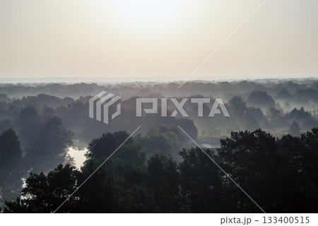 foggy landscape, above deciduous forest, early morning. 133400515