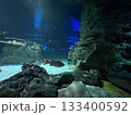 水中の世界 133400592