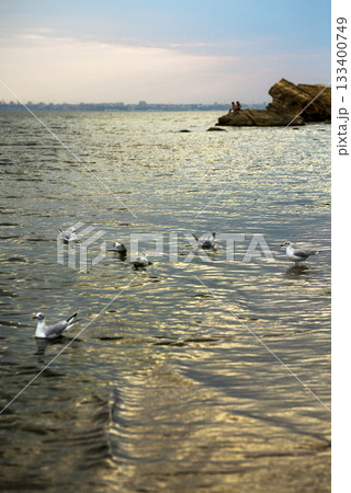 beautiful seascape with sea surface, seagulls on water. sandy beach with big rocks. 133400749